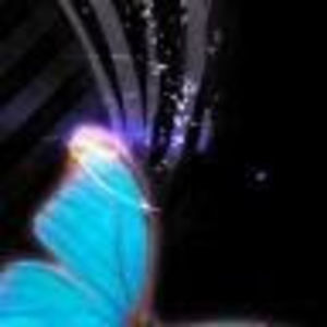 Meet your Posher, Cherece